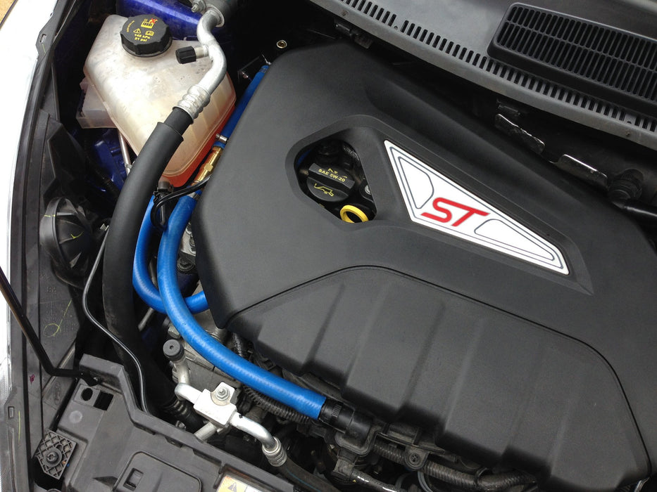 Damond Motorsports Fiesta ST Oil Catch Can Kit
